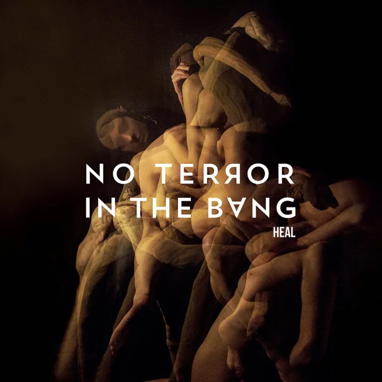 No Terror in the Bang by Heal cover